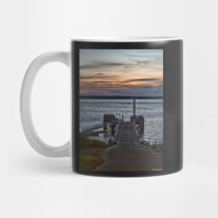 Ponce Landing Mug